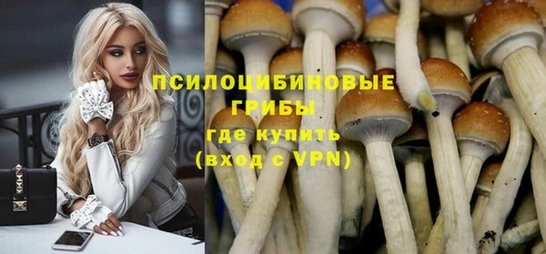 героин Алзамай